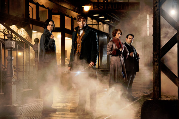 Phantastische Tierwesen Und Wo Sie Zu Finden Sind Stream Netflix Phantastische Tierwesen und wo sie zu finden sind • Filmophilie